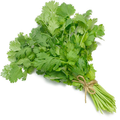 Thai Coriander 80g/pkt | 泰国袋装香菜 80g/把