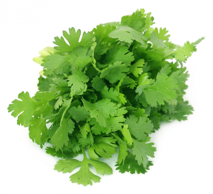 Korianteri 100g/nippu  
