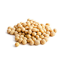 Soyabean 30kg | 大包黄豆 30kg