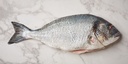 Dorade/Seabream 1KG | 鲷鱼 1kg