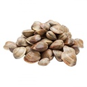 Cooked Brown Clam 40/60 1kg | 熟棕蛤 40/60 1kg