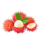 Fresh Rambutan 500g/unit | 红毛丹 500g/盒