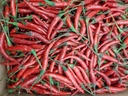 Red Rawit Chili / kg  | 红色小米辣 (称重)