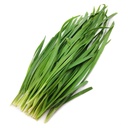 Fresh chives /kg | 新鲜 韭菜 (称重) 