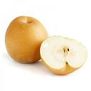 Korean Pear 1kg | 新高梨1kg