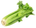 TH Celery 100g /pkt | 泰国芹菜100g /把