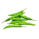 Fresh Rawit Green Chili 1KG | 新鲜 绿辣椒 小米辣 1KG