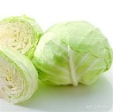 Fresh Cabbage kg | 新鲜 硬包菜 kg