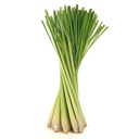 Lemongrass (Thailand) 100g | 香茅（泰国）100克