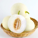 Fresh Muskmelon 1kg | 新鲜 白玉甜瓜 1kg
