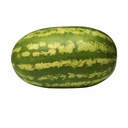 Spain Watermelon / kg | 西班牙西瓜 /kg