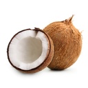 Old Coconut /PC | 老椰子/ 只