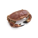 Fresh Crab (Taskurapu) kg | 新鲜面包蟹 /kg