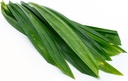 TH Pandanus Leaf 100g/pkt | Th 新鲜斑兰叶 100g/pkt