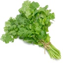 Thai Coriander 80g/pkt | 泰国袋装香菜 80g/把