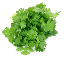 Coriander 100g/pkt |  香菜 100g/把