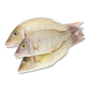 JONA Yellow Croakers Wild WR 12pcs 1kg | JONA 小黄鱼 12pcs 1kg