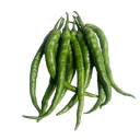 Green paprika (er jing tiao) /kg | 新鲜 小青椒（二荆条）(称重)
