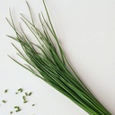 Bleslook (French chives)/CTN | 新鲜 寿司细葱 / CTN