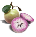 Fresh Milk Fruit /Star Apple 1kg | 新鲜 牛奶果/金星果 1kg