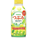 SANGARIA Fruit Juice With Pulp White Grape Flavor 380ml | SANGARIA 果粒果汁 白葡萄味 380ml