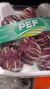 Radicchio Rosso 1kg | 红生菜 1kg