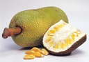 ASEA Jackfruit Fresh / KG | 菠萝蜜新鲜/千克