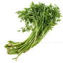 Fennel 200g/pkt | 泰国 茴香 200g/包