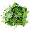 TH Sak Tree Leaf  100g | 泰国 桫椤叶 100g