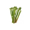 TH Kan Jong 100g | 泰国 黄花蔺 100g